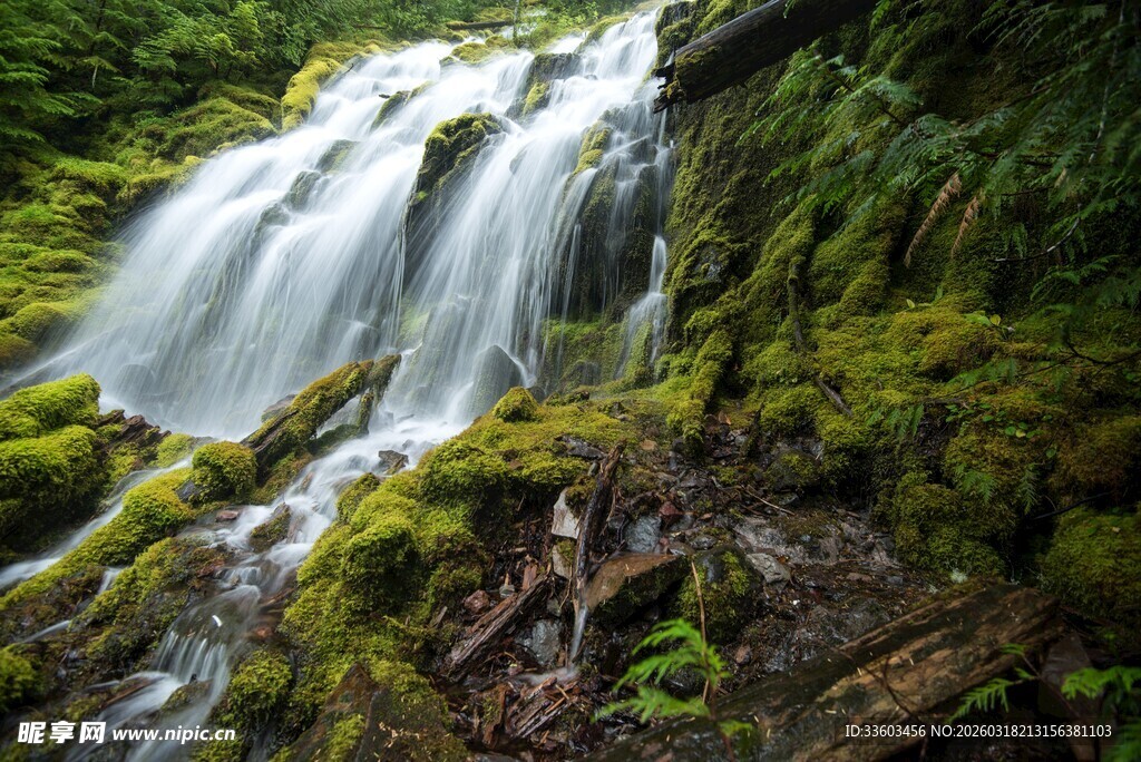 山间瀑布下的翠绿苔藓景观