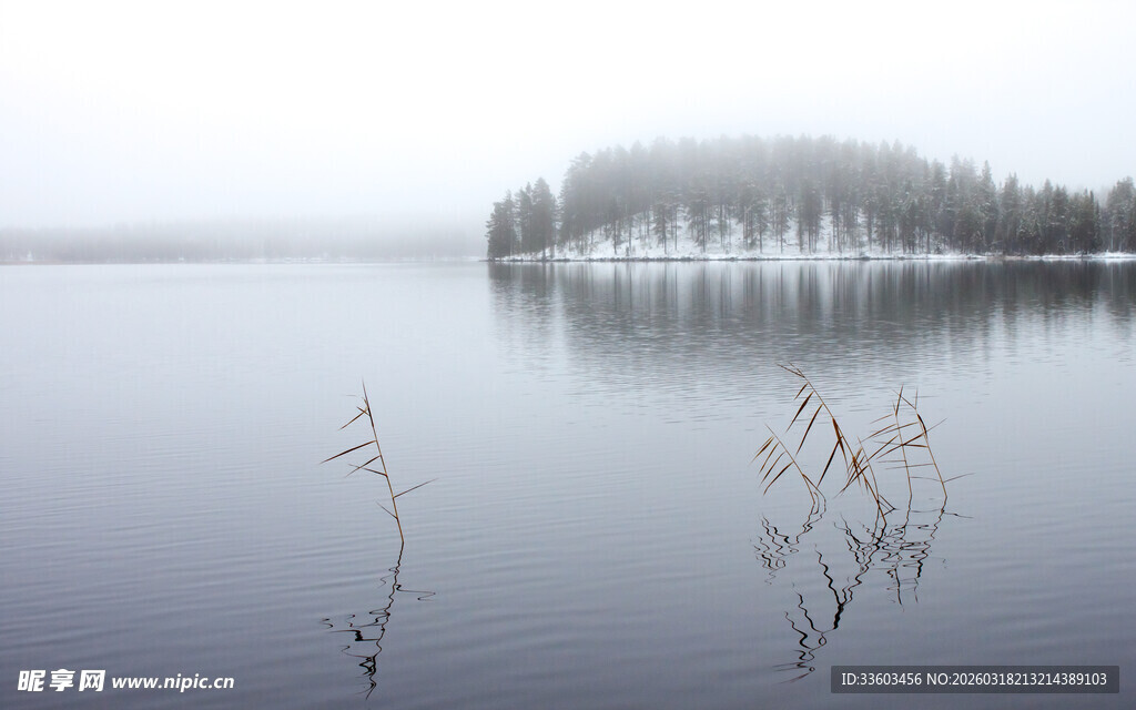 雾中静谧湖面与岸边树木