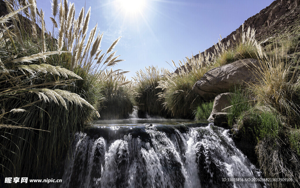 山间小瀑布与繁茂植被