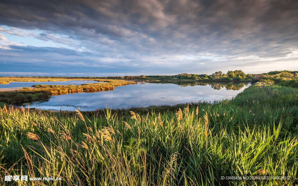 湖畔霞光中的美丽湿地风光