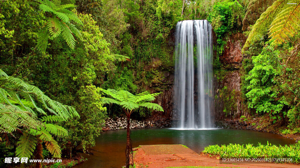 雨林中的美丽瀑布景观