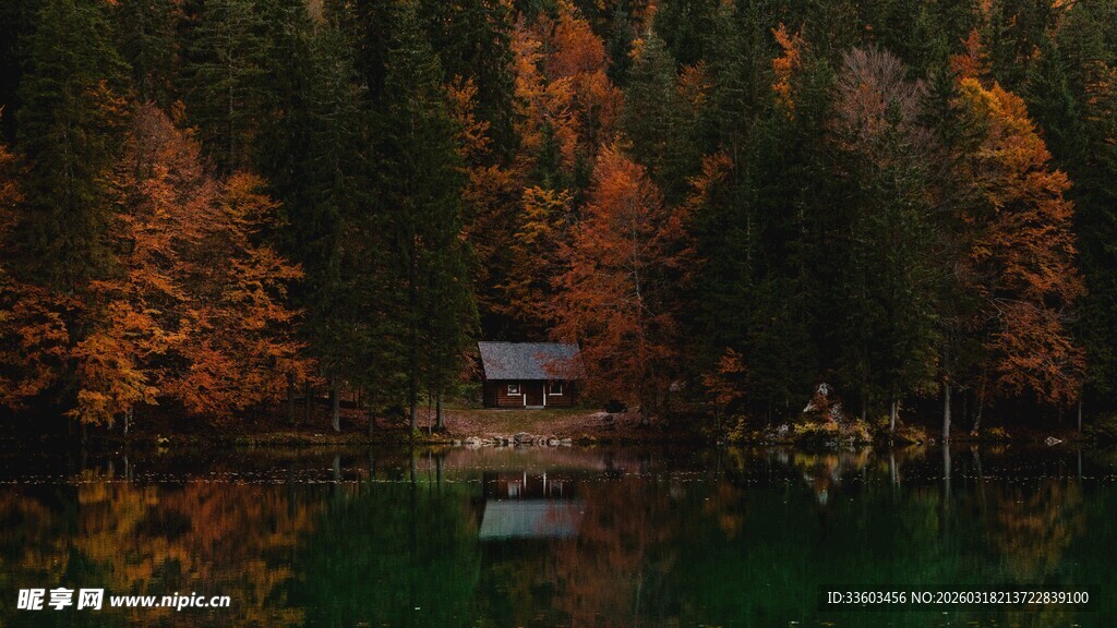 秋日山林中的静谧湖水