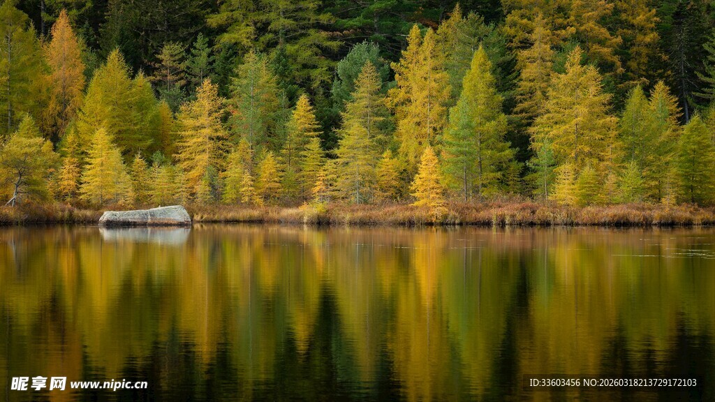 秋日湖畔森林倒影美景