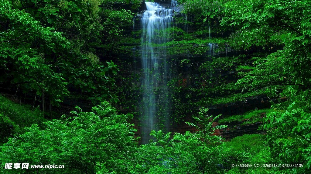 森林中的美丽瀑布景观