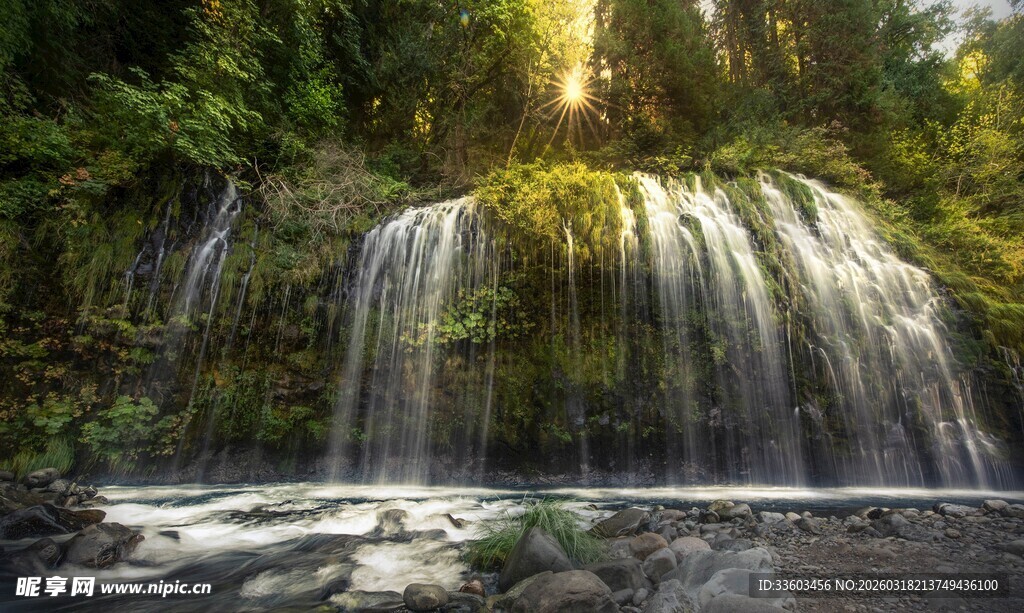 森林中的美丽瀑布景观