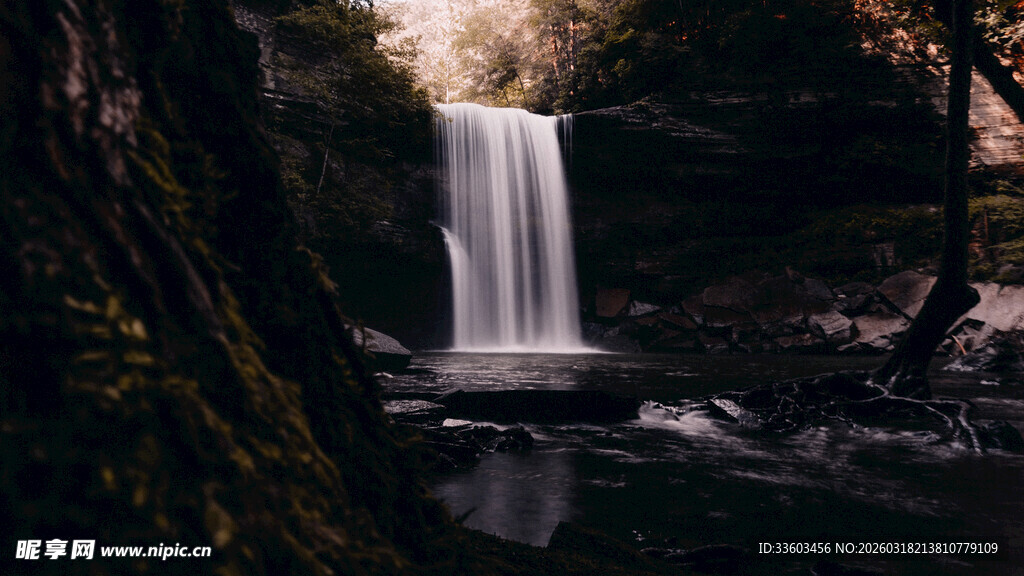 森林中的壮丽瀑布景观