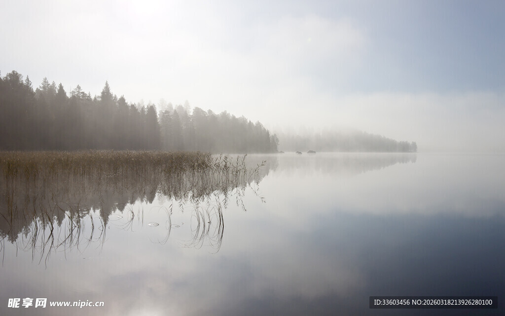 湖畔晨景
