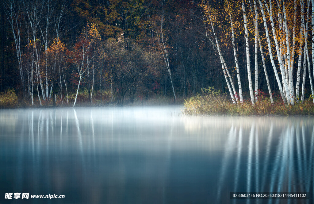 静谧湖畔秋景