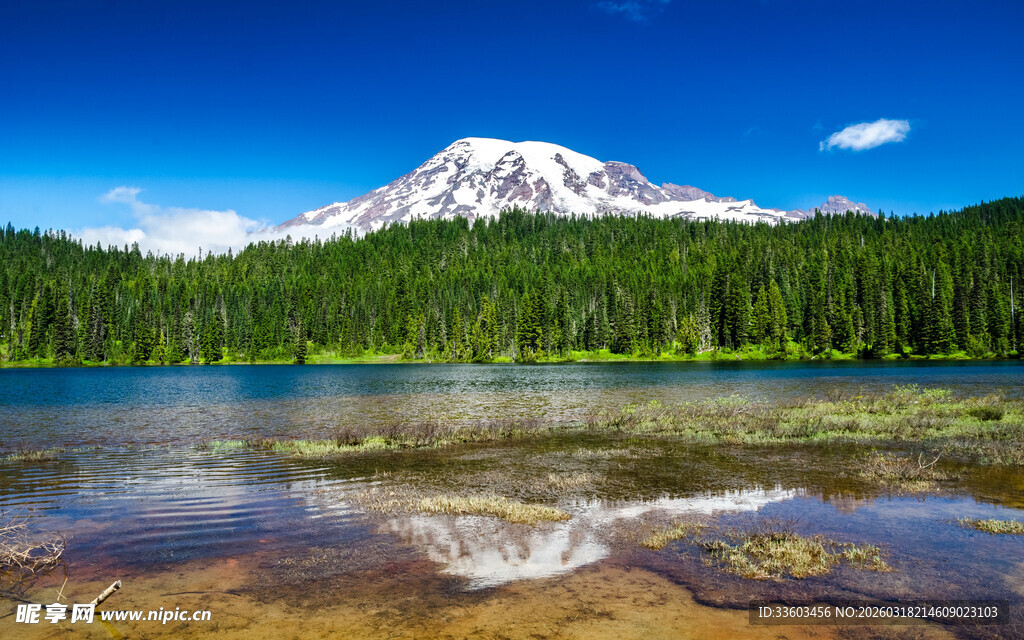 雪山湖泊森林的美丽景致