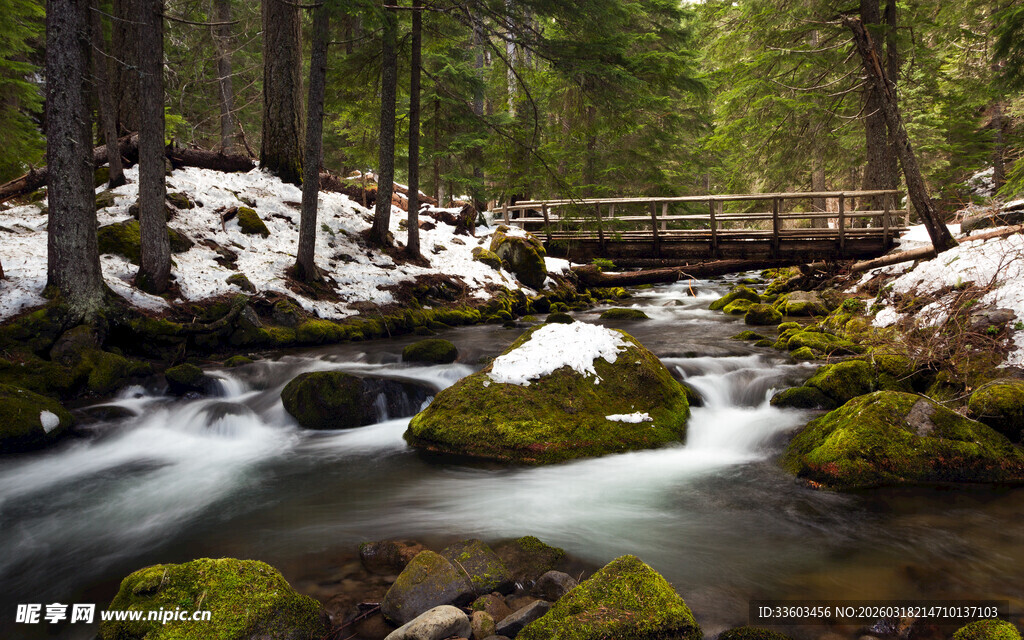 雪覆林间溪流石桥美景