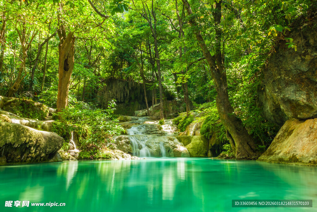 森林中的清澈碧绿溪流