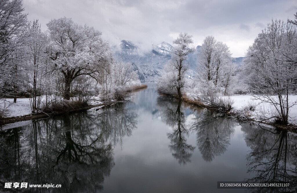冬日雪覆河岸静谧美景
