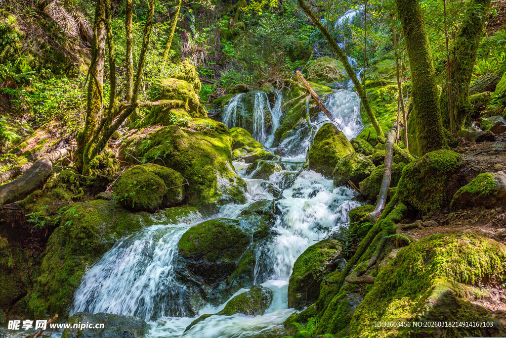 山林间的潺潺溪流