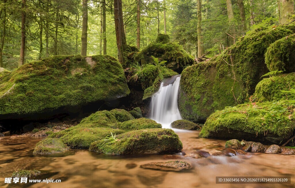 森林中的潺潺溪流与瀑布