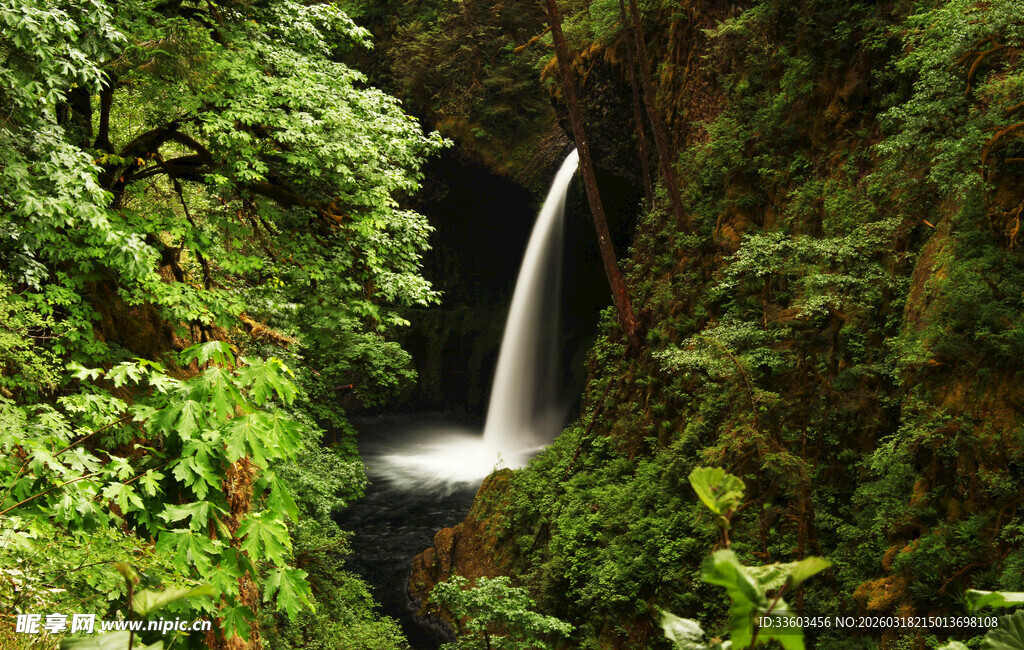 森林中的美丽瀑布