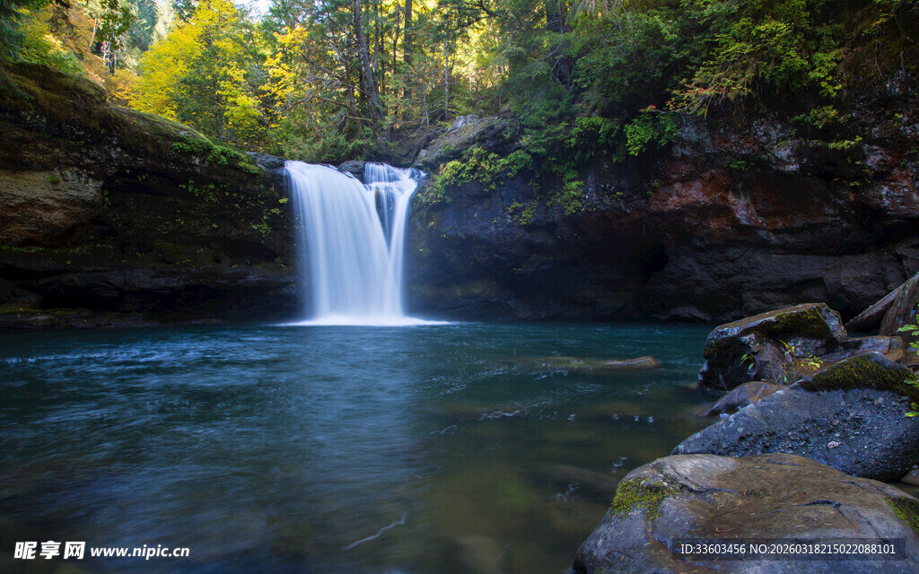 森林中的静谧瀑布景观