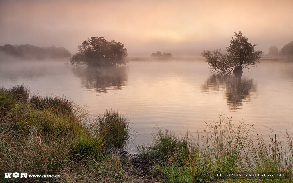 晨雾中的静谧湖畔风光