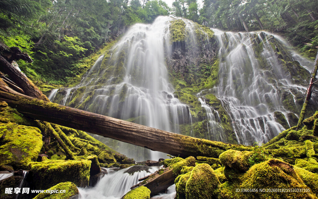 森林中的壮丽瀑布景观