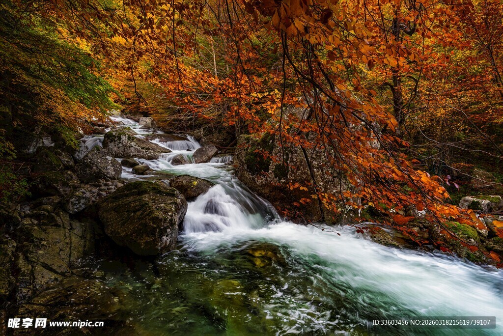 秋日山间溪流美景