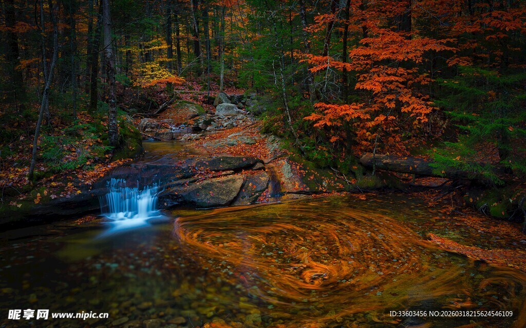 秋日山林中的潺潺溪流