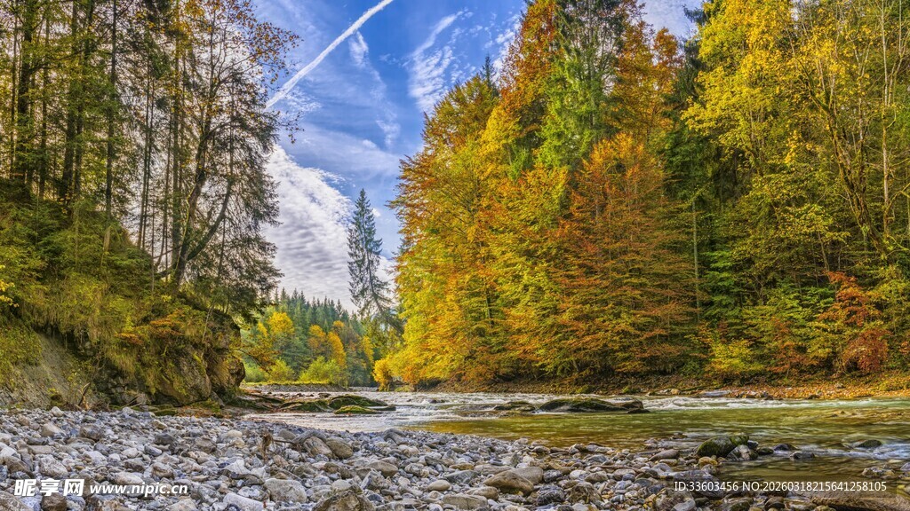 秋日溪边彩林美景