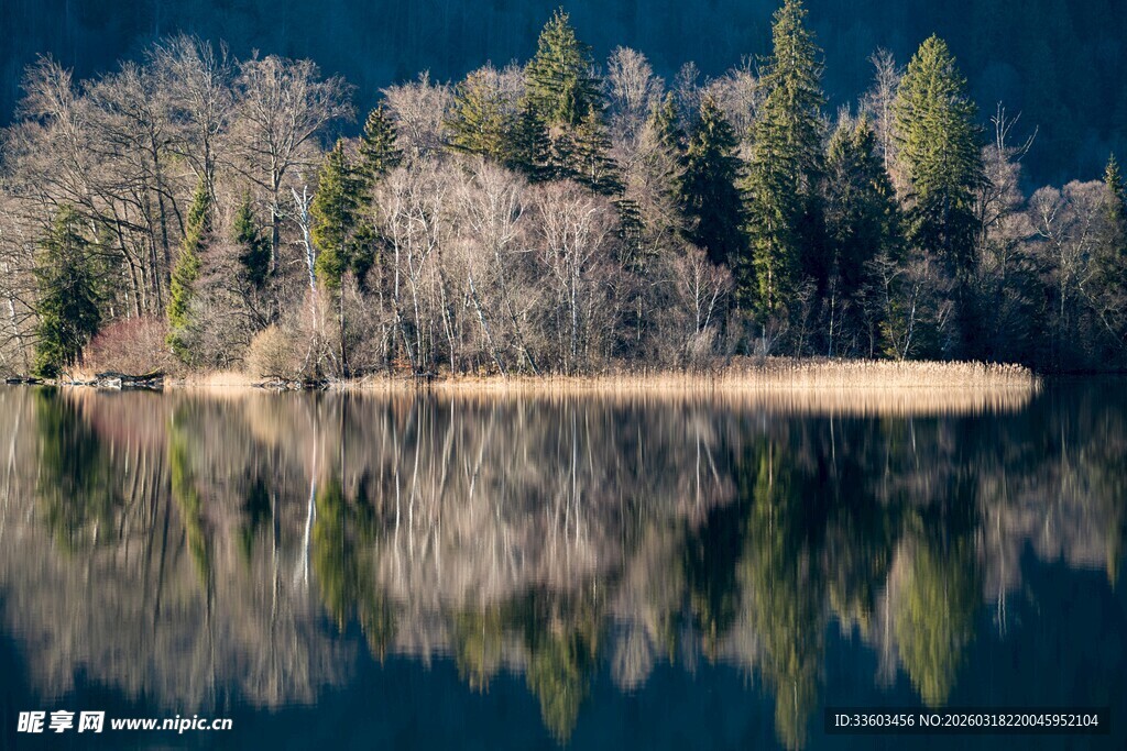 宁静湖畔冬日森林倒影