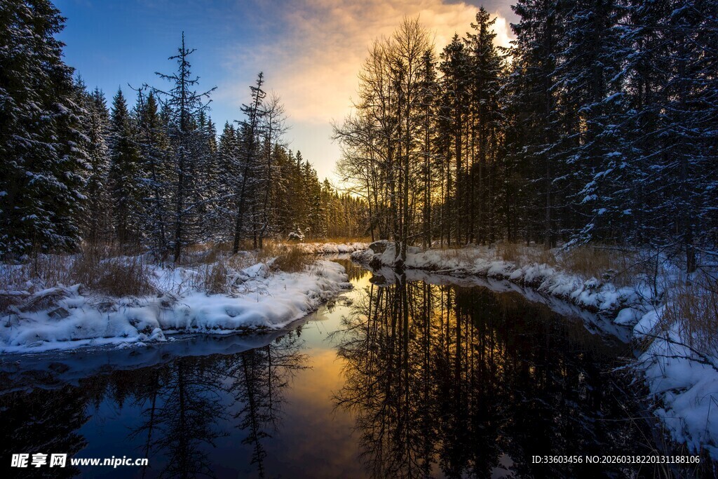 冬日雪林溪流绝美风光