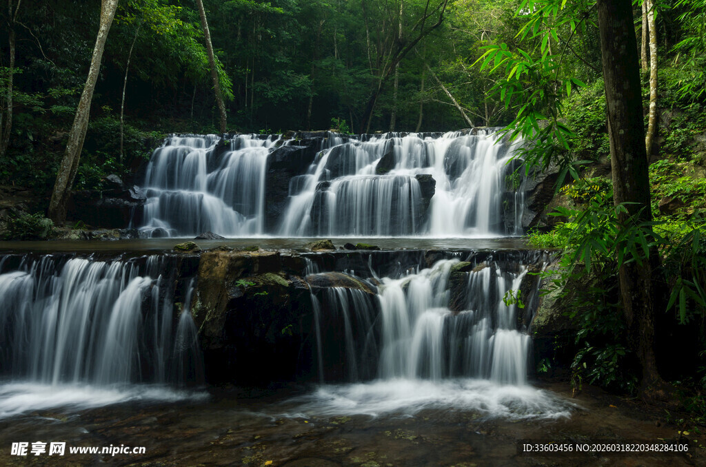 森林中的美丽层叠瀑布