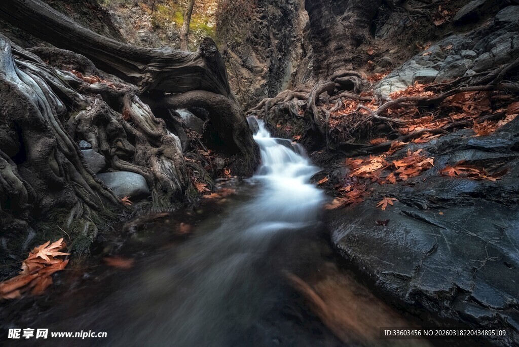 山间溪流与落叶的静谧景致