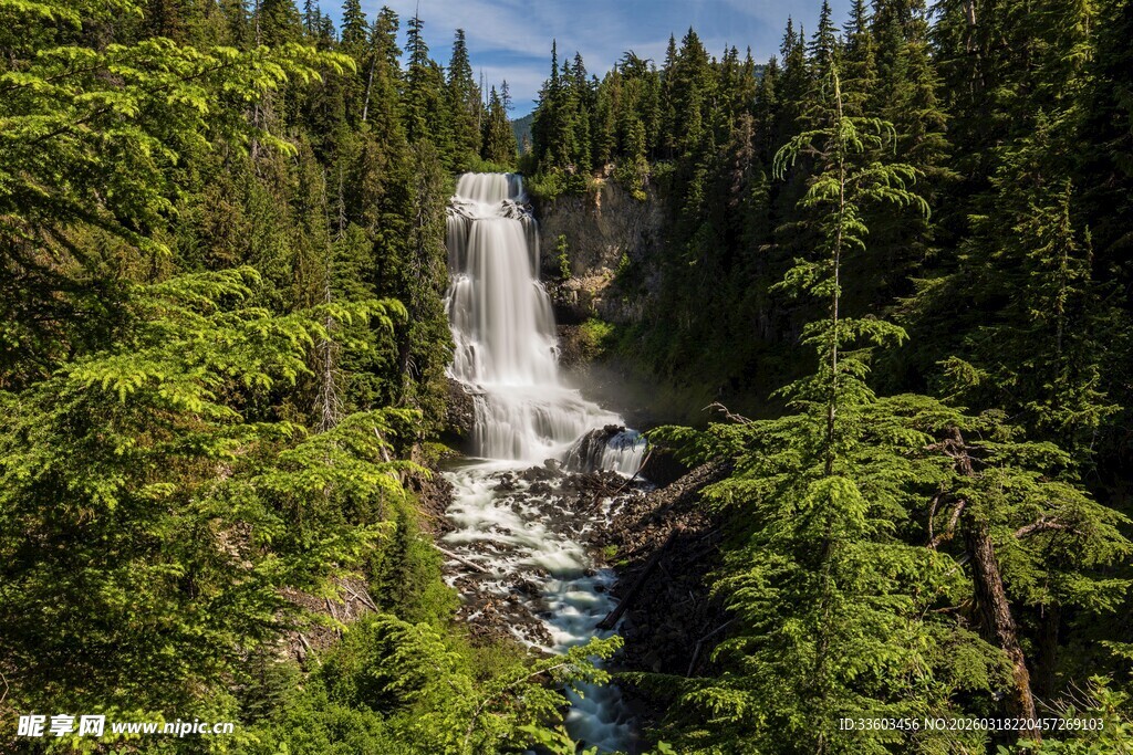 森林中的壮丽瀑布景观