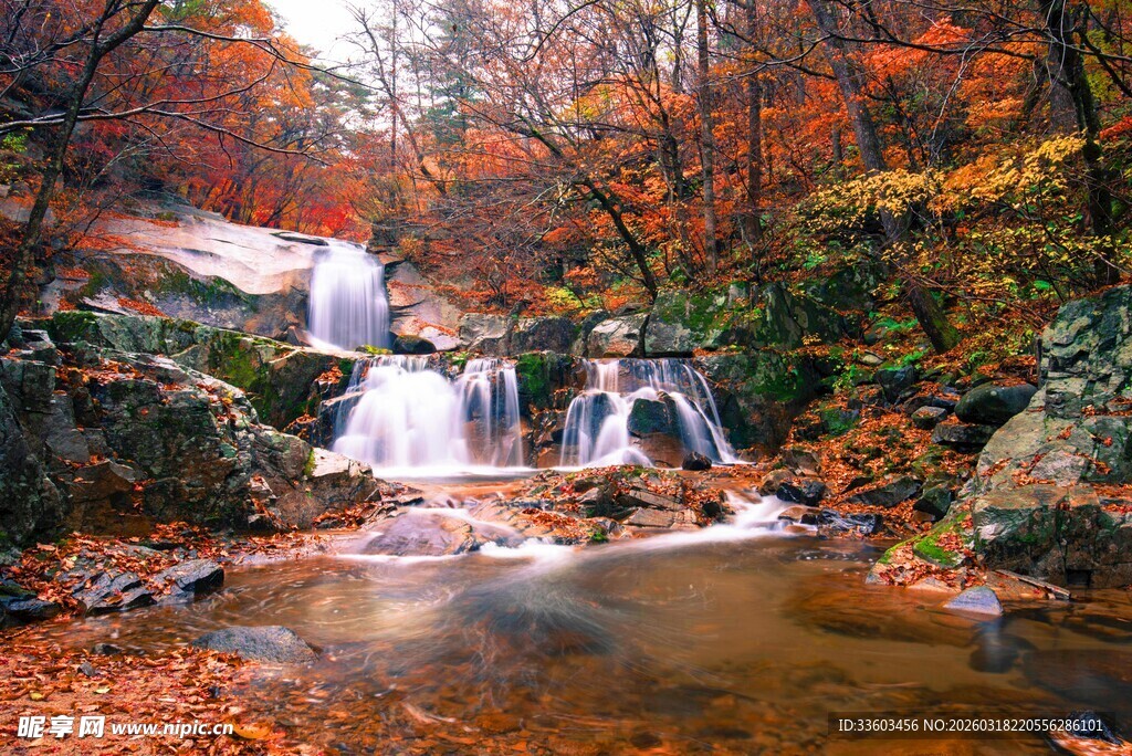 秋日山林中的潺潺溪流