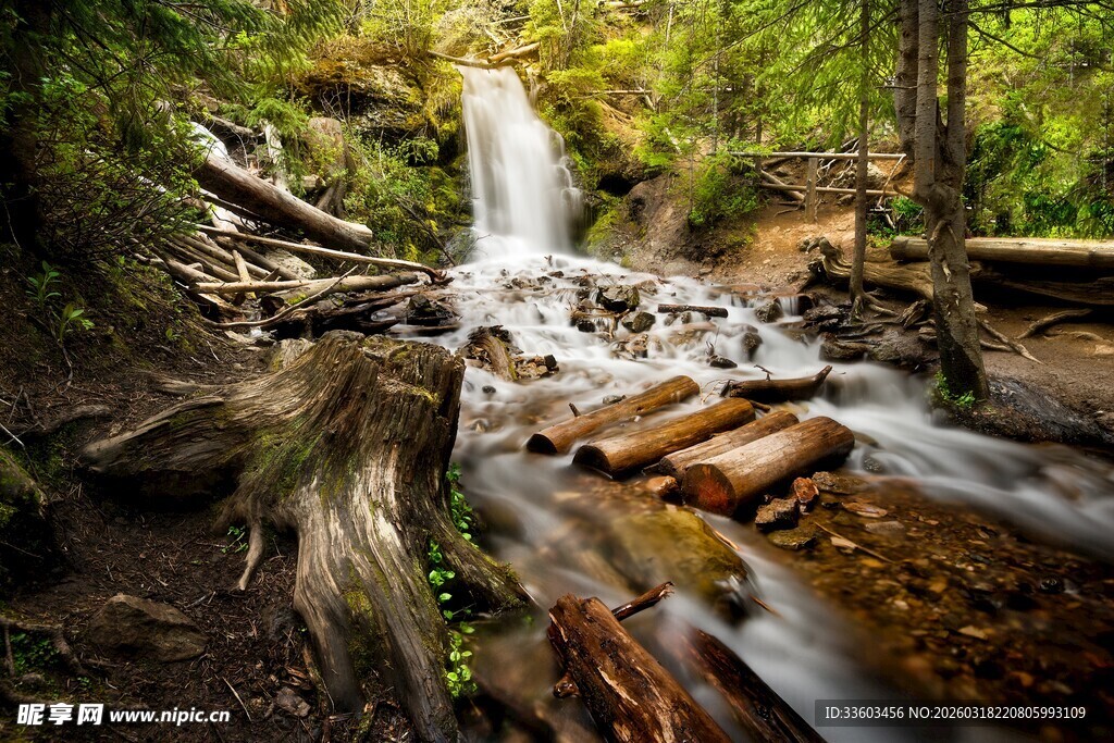 森林中的潺潺瀑布景观