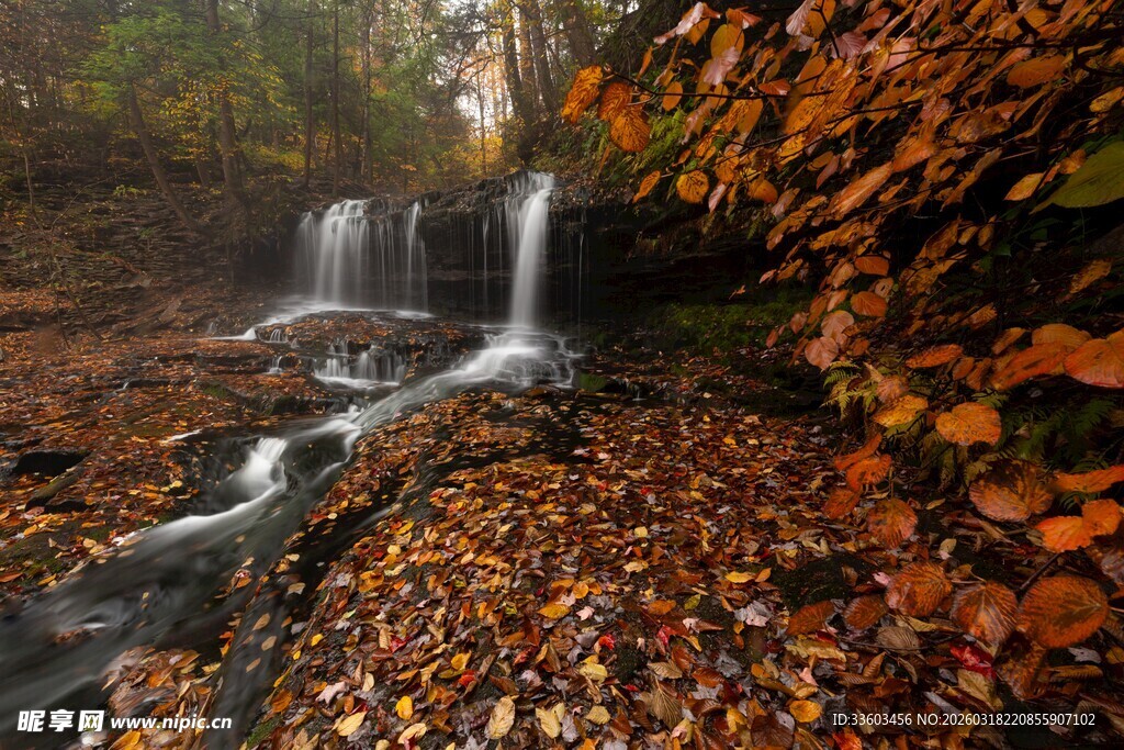 秋日林间的潺潺瀑布