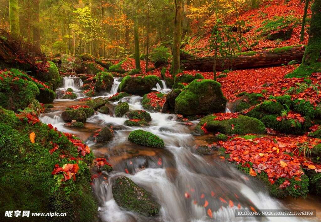 秋日溪流间的斑斓景致
