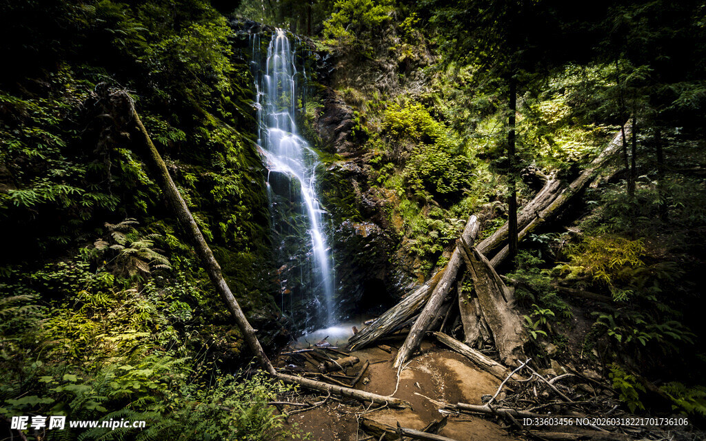 森林中的壮美瀑布景观