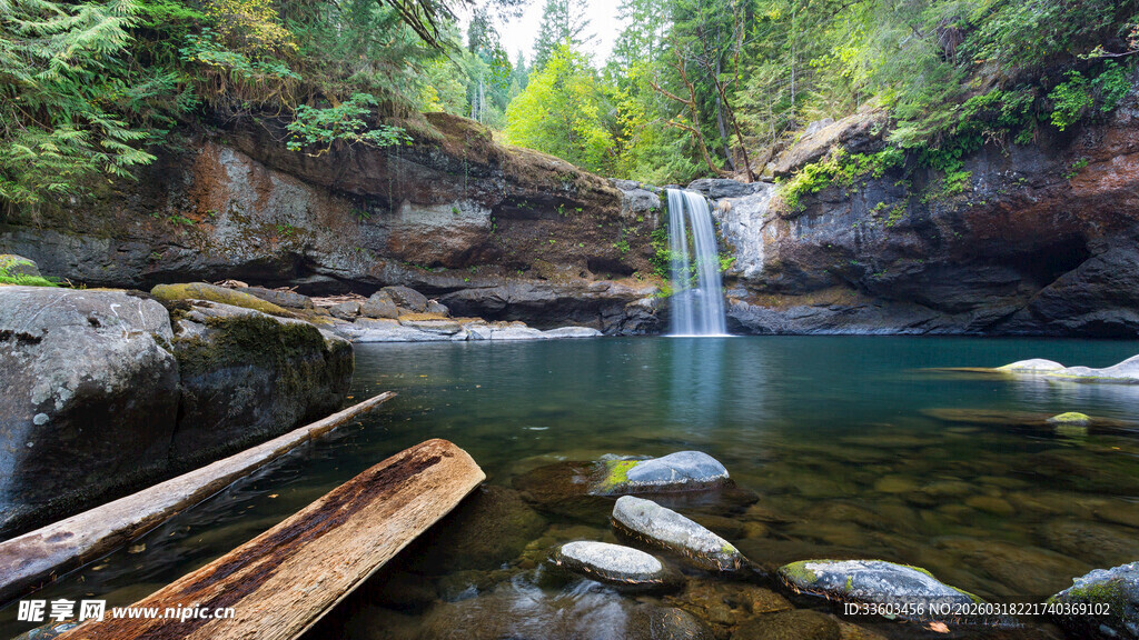 森林中的静谧瀑布与木桥