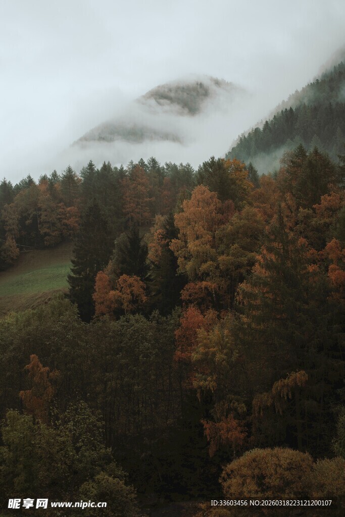 秋雾中的山林美景