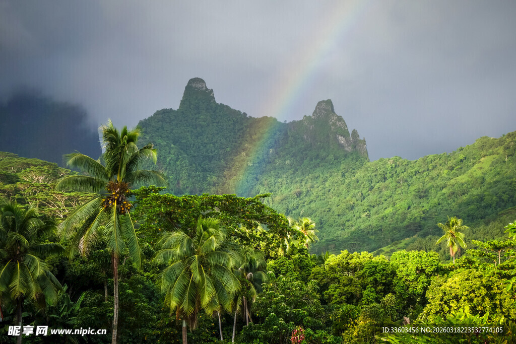 山间彩虹下的绿野美景