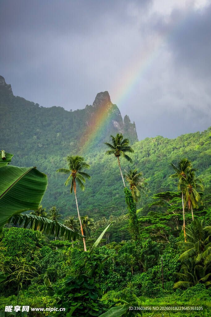 雨林上空的绚丽彩虹