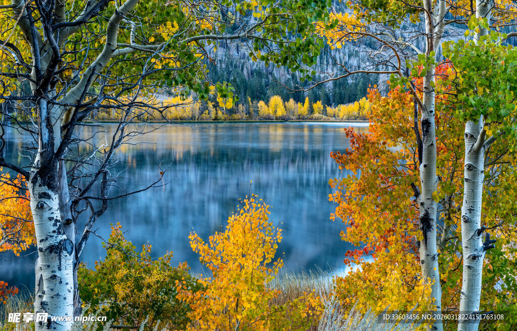 秋日湖畔斑斓树林美景
