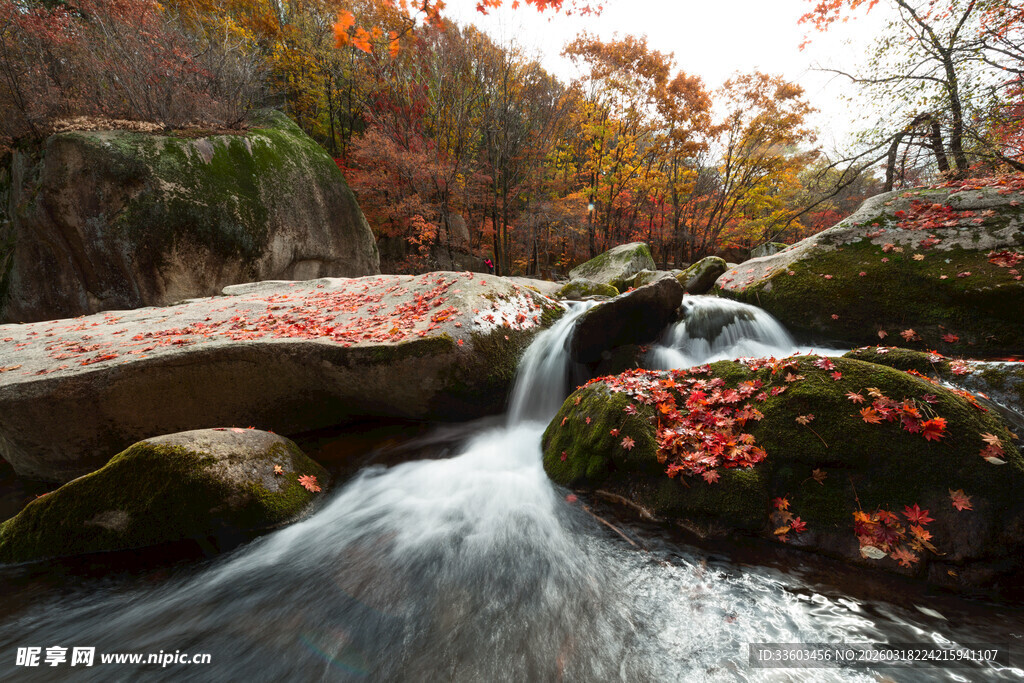 秋日溪流红叶美景