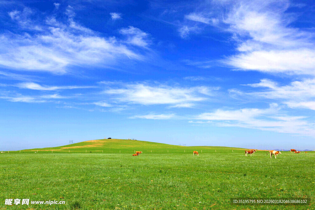 草原蓝天美景