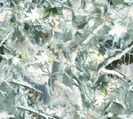 雪覆枝叶的清新自然景象