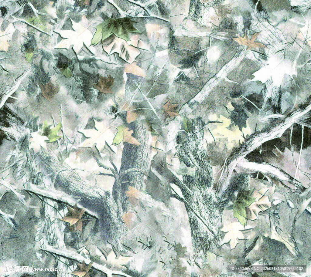 雪覆枝叶的清新自然景象