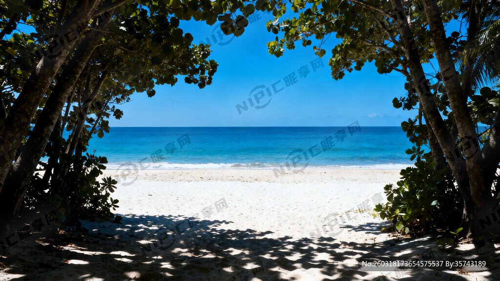 树林看出去的沙滩大海 海景漂亮