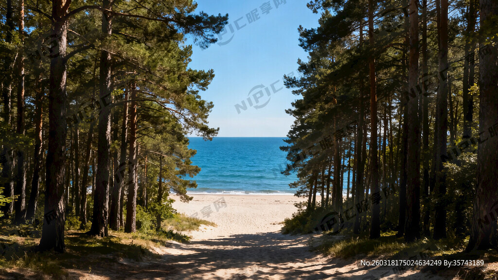 夏天 要求海景开阔 阳光充足