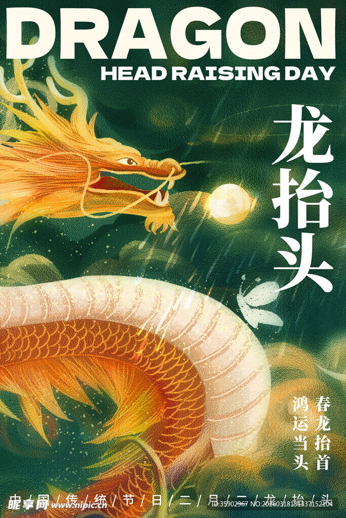 龙抬头杂志封面