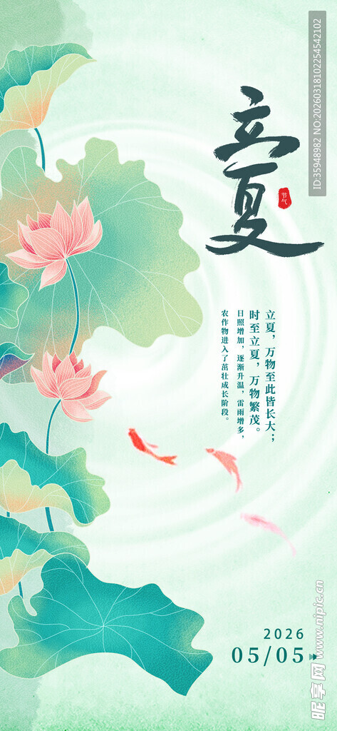 夏日荷花锦鲤诗意画面