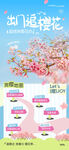 湖畔樱花节活动宣传海报
