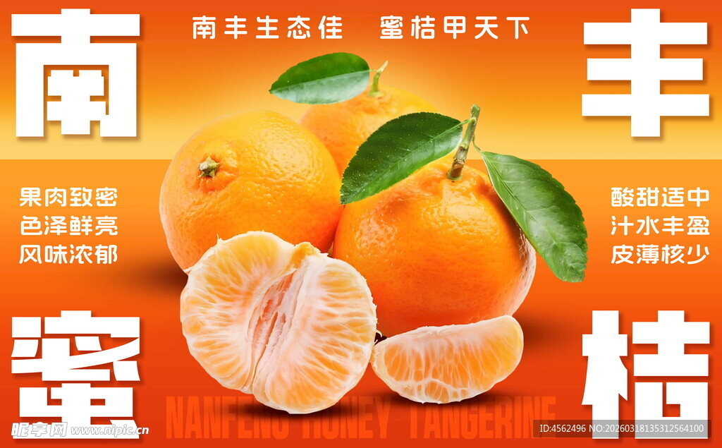 新鲜丰蜜桔诱人上市